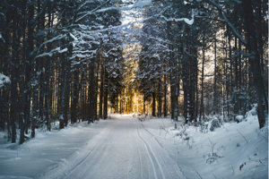 ante-la-prevision-de-nevadas,-imprescindible-consultar-el-estado-de-las-carreteras-y-llevar-cadenas-o-neumaticos-de-invierno