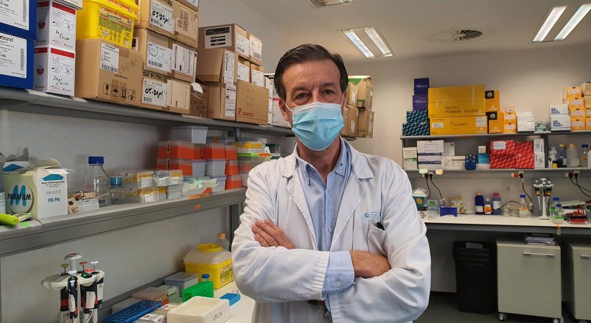 El Hospital 12 de Octubre y el Instituto de Investigación Josep Carreras crean una terapia basada en «células puñal», contra un tipo de leucemia muy difícil de tratar