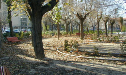 Coslada: Coslada plantará quinientos nuevos árboles en las calles de la ciudad