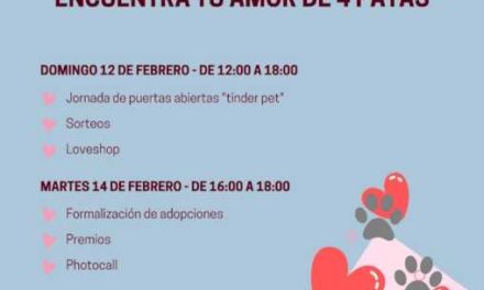 Alcalá: “Café con gatos” y “San Valentín Peludo”, las nuevas campañas del Ayuntamiento para favorecer las adopciones en el CIMPA