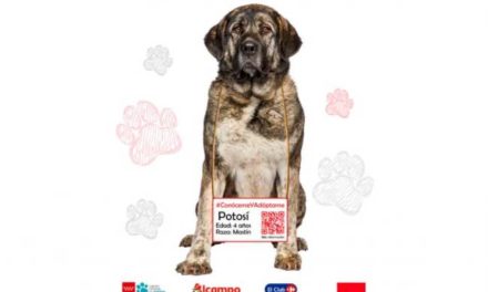 Torrejón: Comienza la campaña “Conóceme y Adóptame” para concienciar sobre la acogida de perros y gatos abandonados