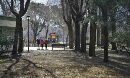 Alcalá: Abierto el Parque de la Juventud tras las obras para su remodelación: más verde, accesible y seguro